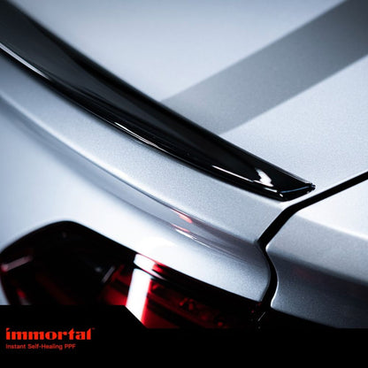 PPF (Paint Protection Film)