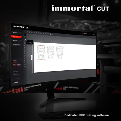 PPF (Paint Protection Film)